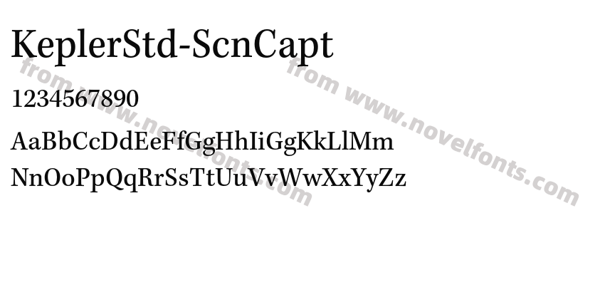 KeplerStd-ScnCaptPreview