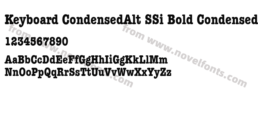 Keyboard CondensedAlt SSi Bold Condensed AlternatePreview