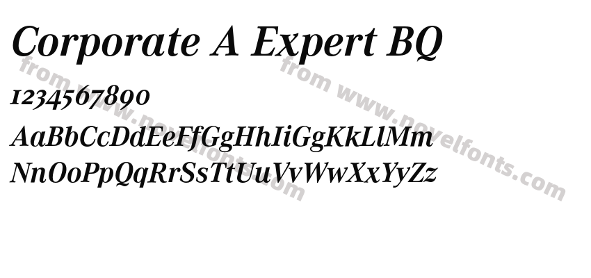 Corporate A Expert BQPreview