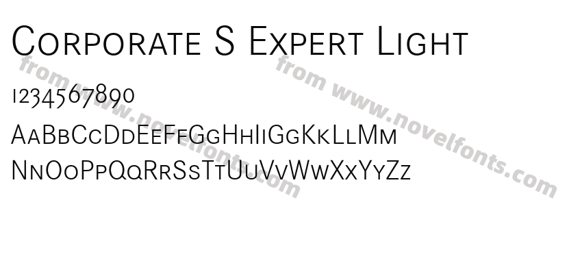 Corporate S Expert LightPreview