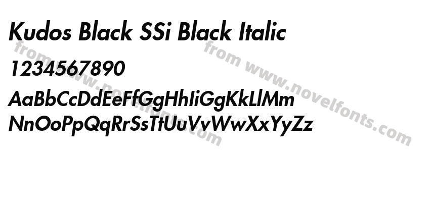 Kudos Black SSi Black ItalicPreview