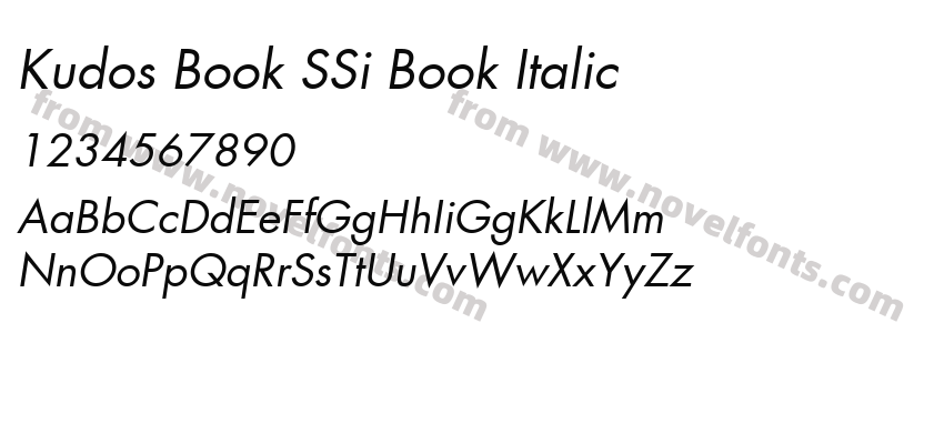 Kudos Book SSi Book ItalicPreview