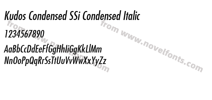 Kudos Condensed SSi Condensed ItalicPreview