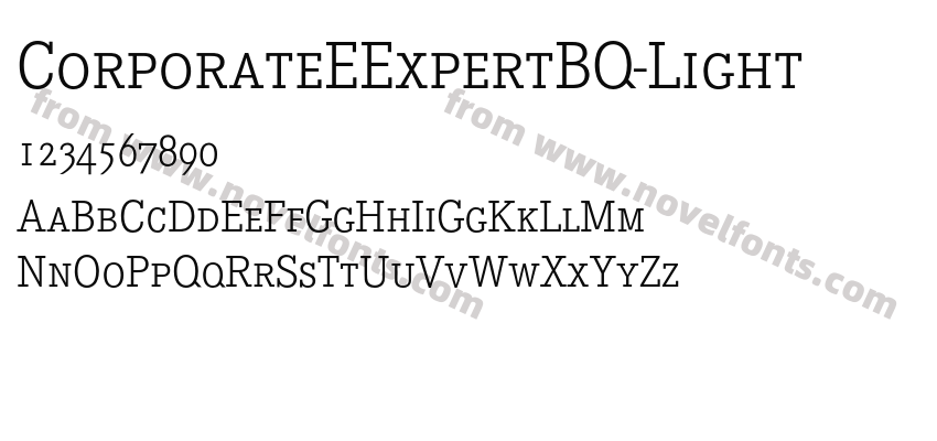 CorporateEExpertBQ-LightPreview