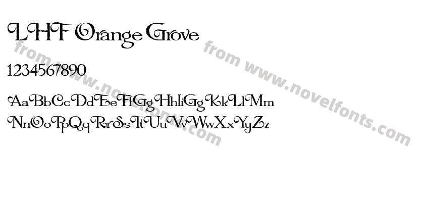 LHF Orange GrovePreview