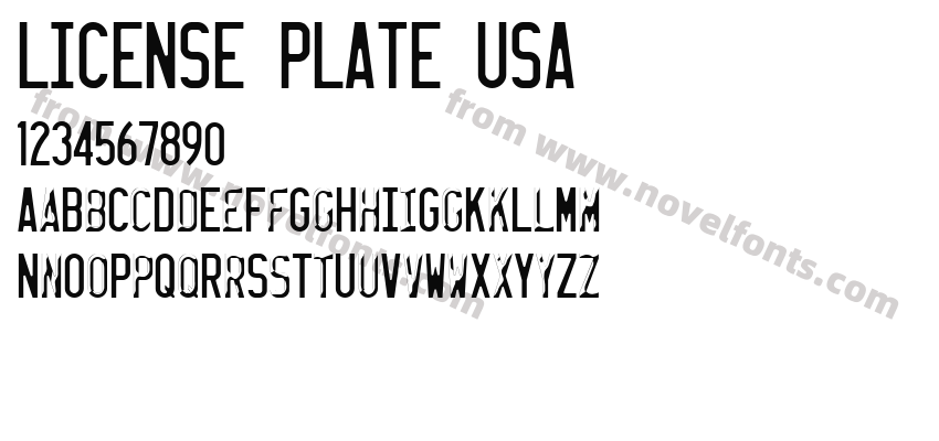 LICENSE PLATE USAPreview