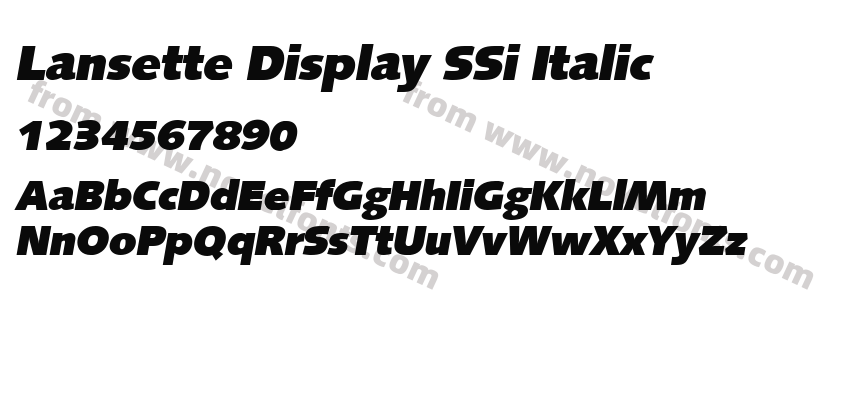 Lansette Display SSi ItalicPreview