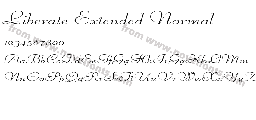 Liberate Extended NormalPreview