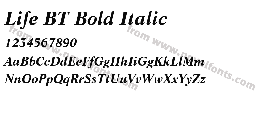 Life BT Bold ItalicPreview