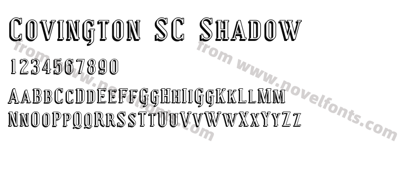 Covington SC ShadowPreview