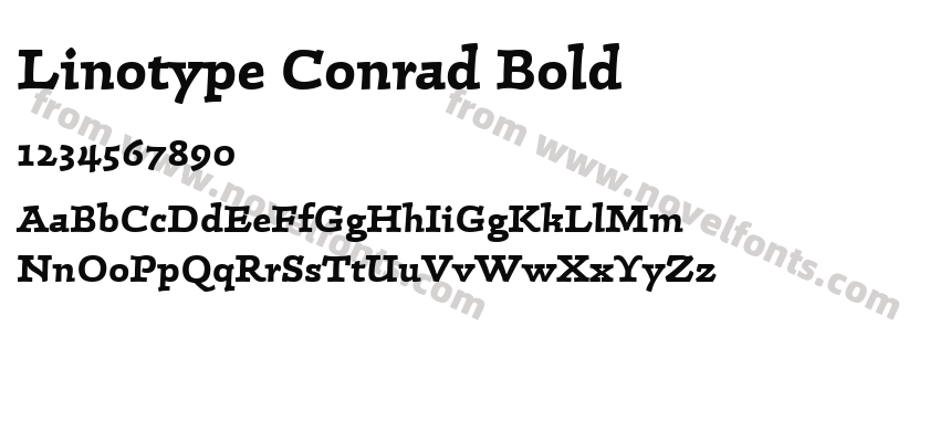 Linotype Conrad BoldPreview