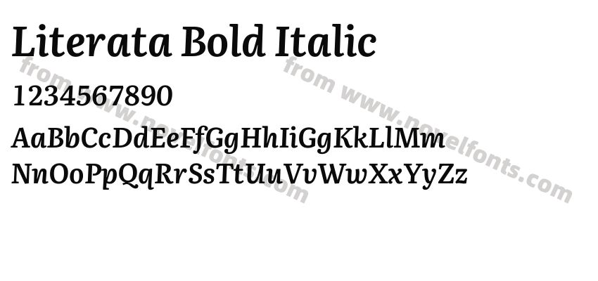 Literata Bold ItalicPreview