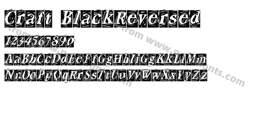 Craft BlackReversedPreview