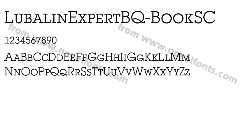 LubalinExpertBQ-BookSCPreview