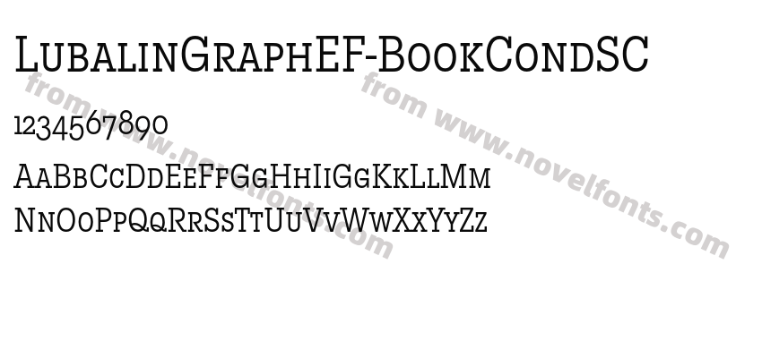 LubalinGraphEF-BookCondSCPreview