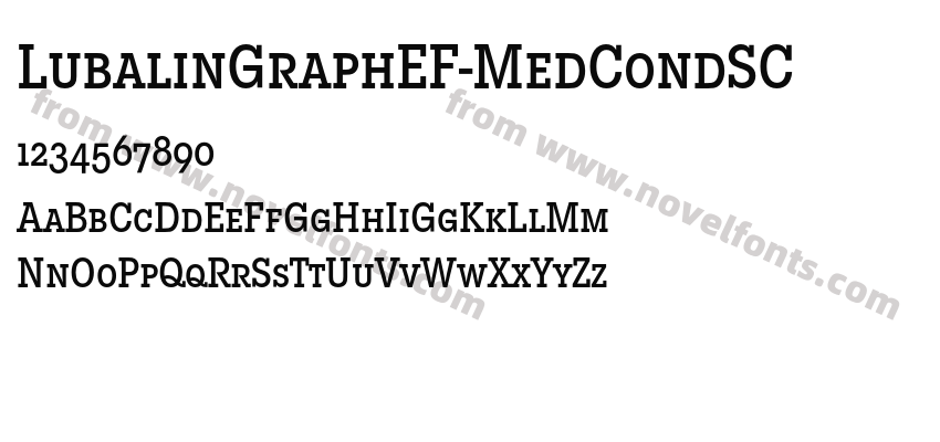 LubalinGraphEF-MedCondSCPreview