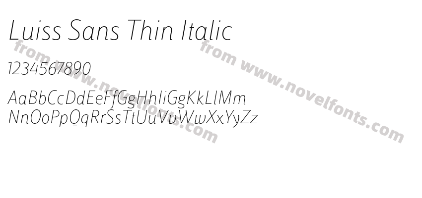 Luiss Sans Thin ItalicPreview