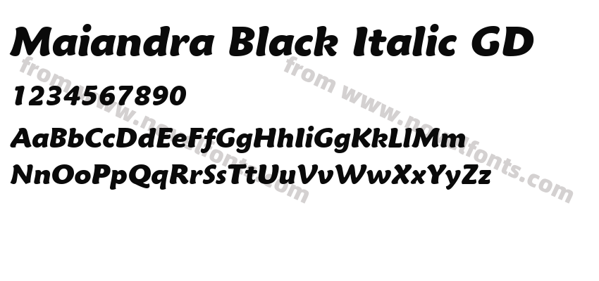 Maiandra Black Italic GDPreview