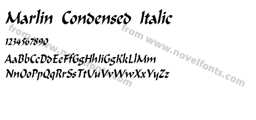 Marlin Condensed ItalicPreview