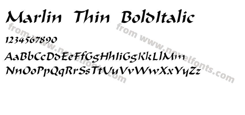 Marlin Thin BoldItalicPreview