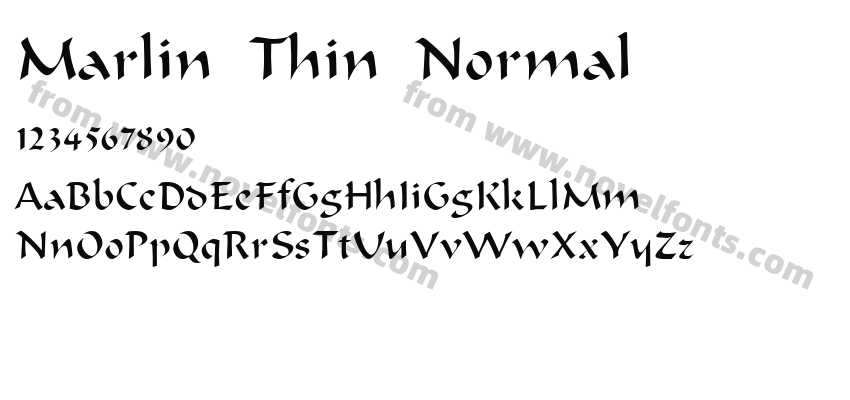 Marlin Thin NormalPreview