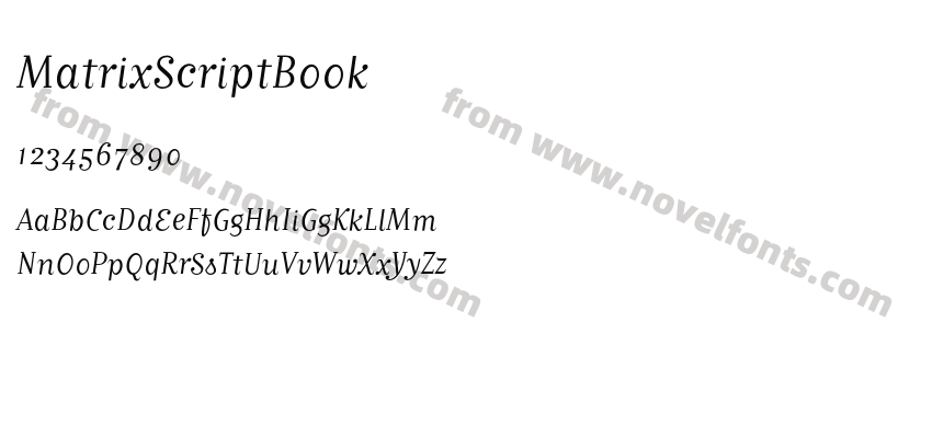 MatrixScriptBookPreview