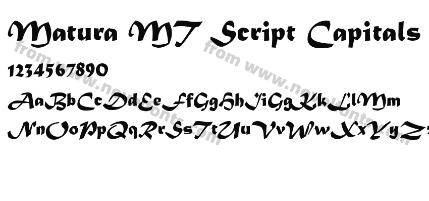 Matura MT Script CapitalsPreview