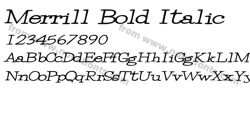 Merrill Bold ItalicPreview