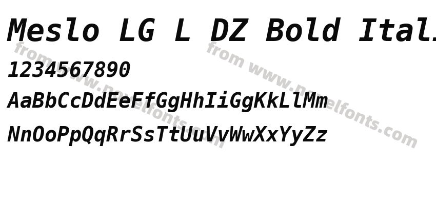 Meslo LG L DZ Bold ItalicPreview