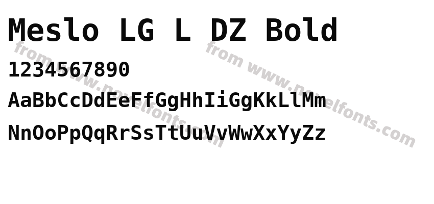 Meslo LG L DZ BoldPreview