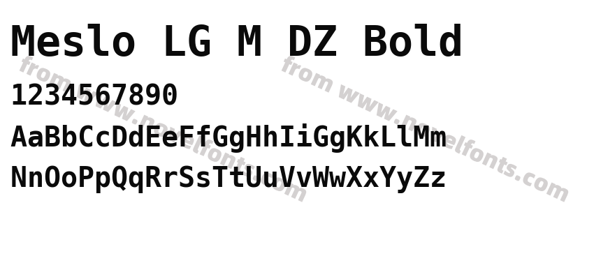 Meslo LG M DZ BoldPreview