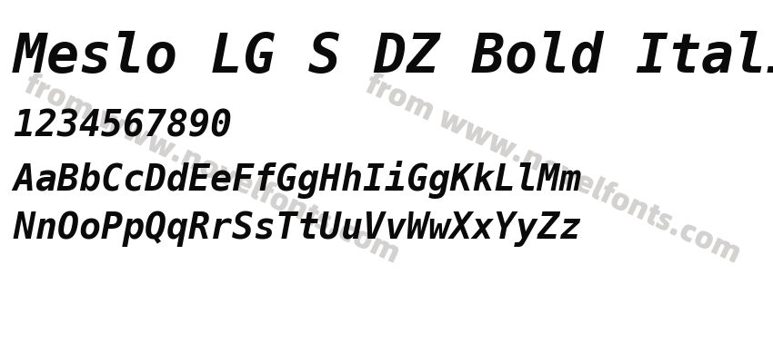 Meslo LG S DZ Bold ItalicPreview