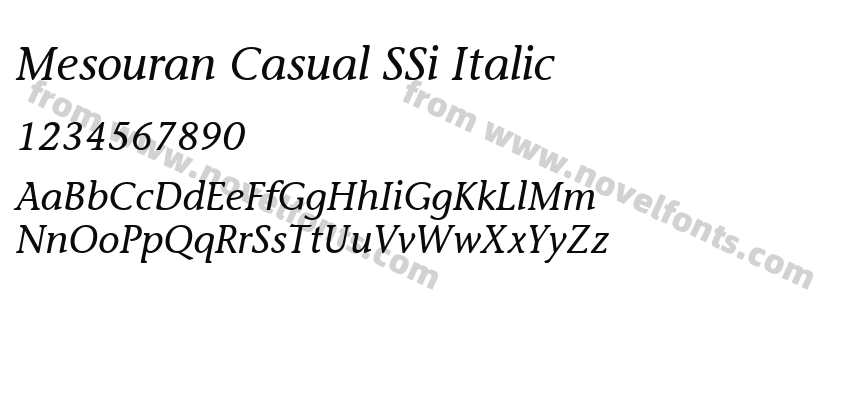 Mesouran Casual SSi ItalicPreview