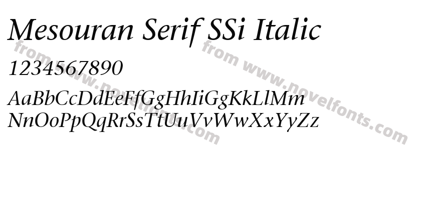 Mesouran Serif SSi ItalicPreview