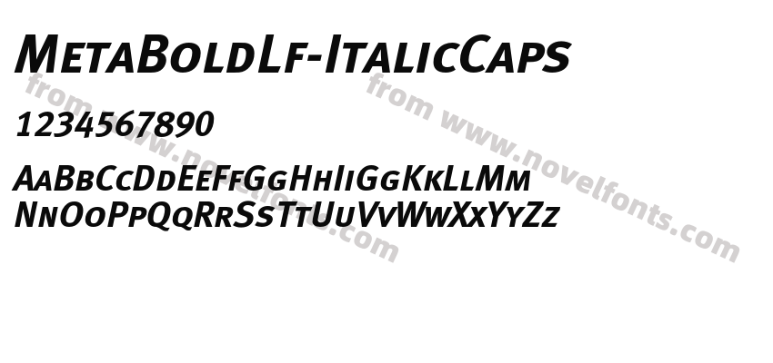 MetaBoldLf-ItalicCapsPreview