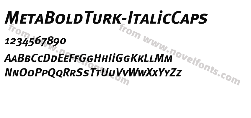 MetaBoldTurk-ItalicCapsPreview