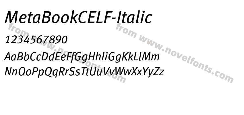 MetaBookCELF-ItalicPreview