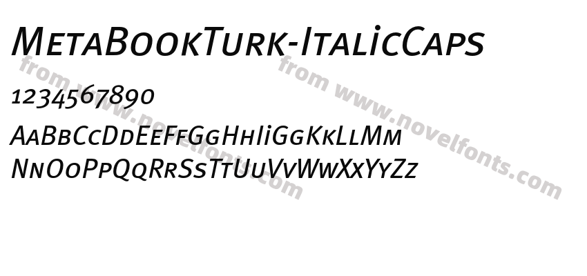 MetaBookTurk-ItalicCapsPreview