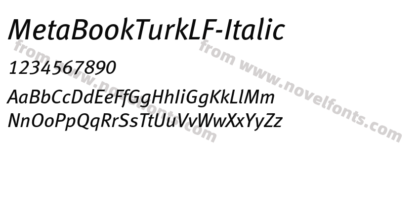 MetaBookTurkLF-ItalicPreview