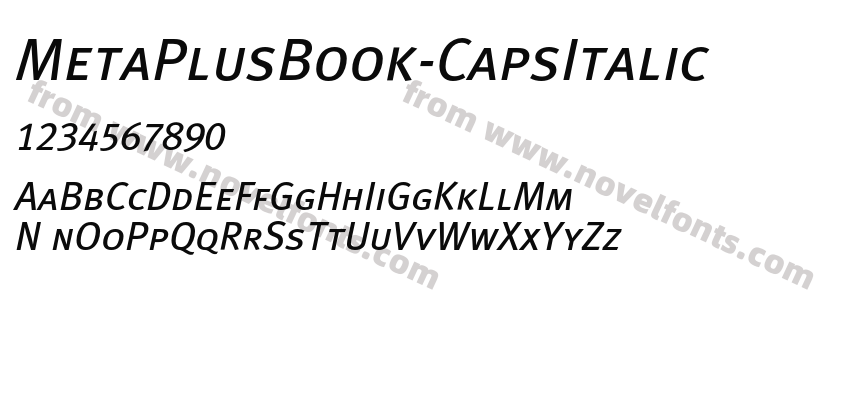 MetaPlusBook-CapsItalicPreview