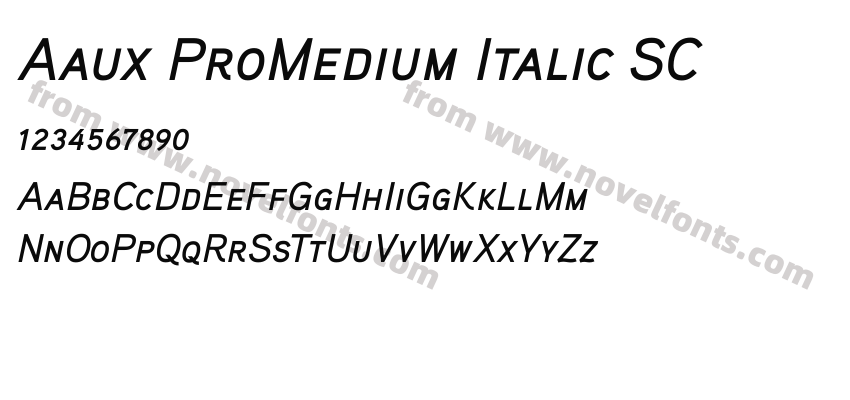 Aaux ProMedium Italic SCPreview