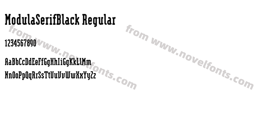 ModulaSerifBlack RegularPreview