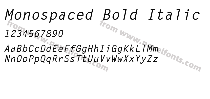 Monospaced Bold ItalicPreview