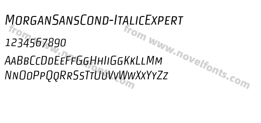 MorganSansCond-ItalicExpertPreview