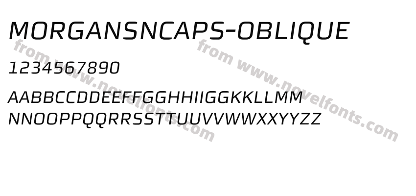 MorganSnCaps-ObliquePreview