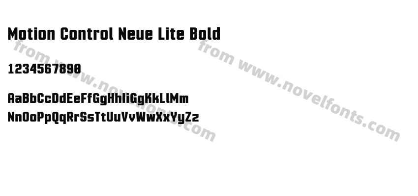 Motion Control Neue Lite BoldPreview