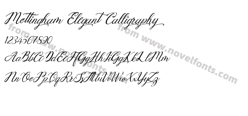 Mottingham Elegant CalligraphyPreview