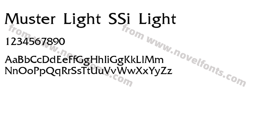 Muster Light SSi LightPreview