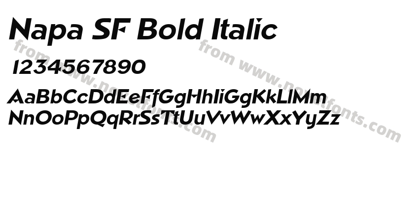 Napa SF Bold ItalicPreview