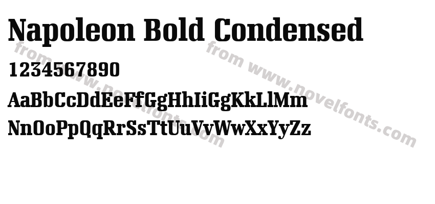 Napoleon Bold CondensedPreview